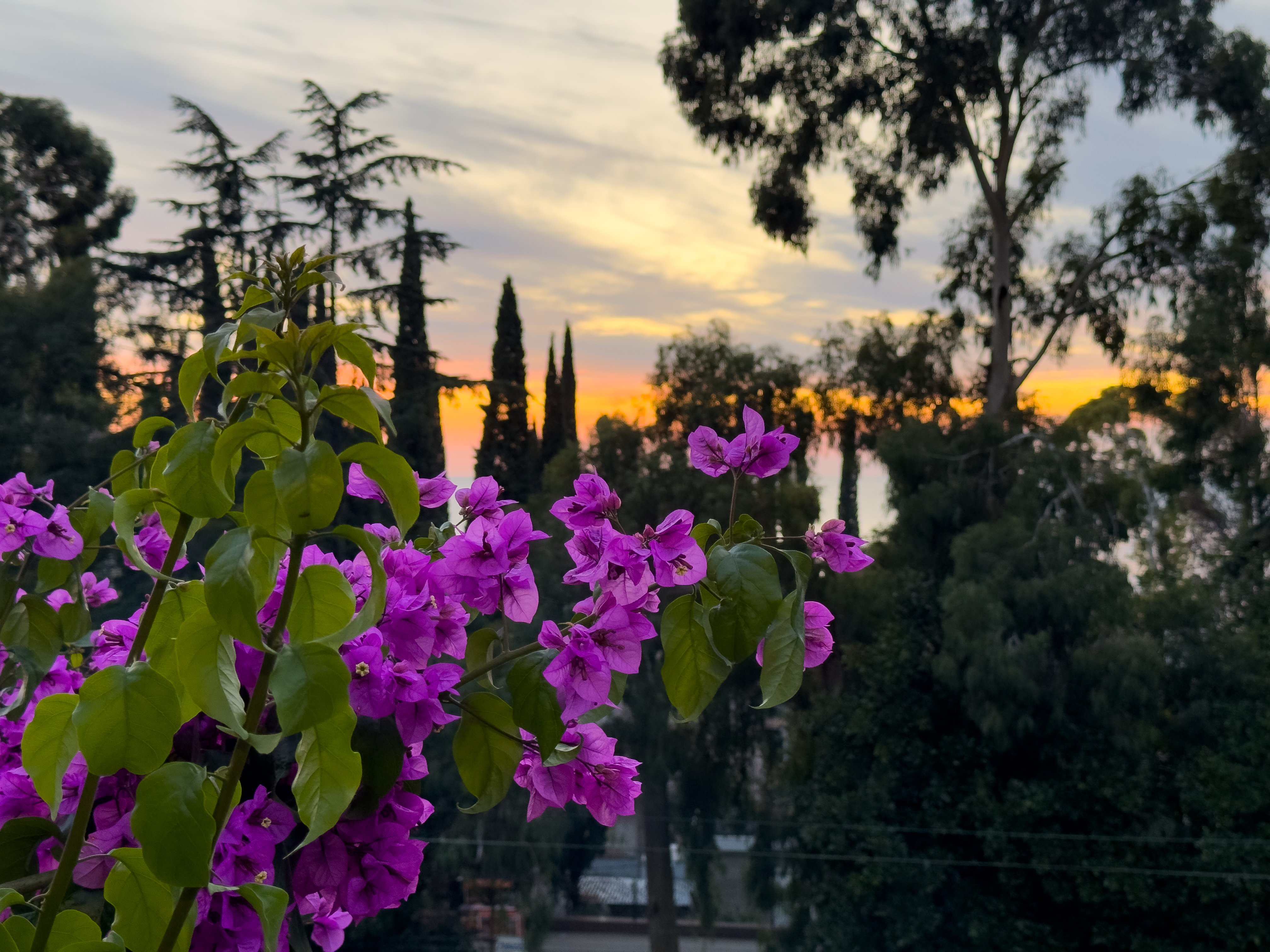 Территория