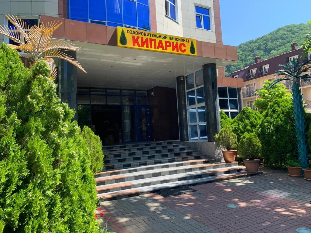 Кипарис (Ольгинка)