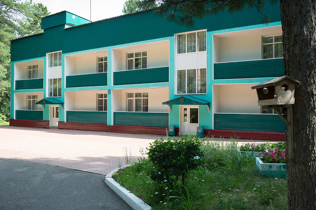 Кедровый бор