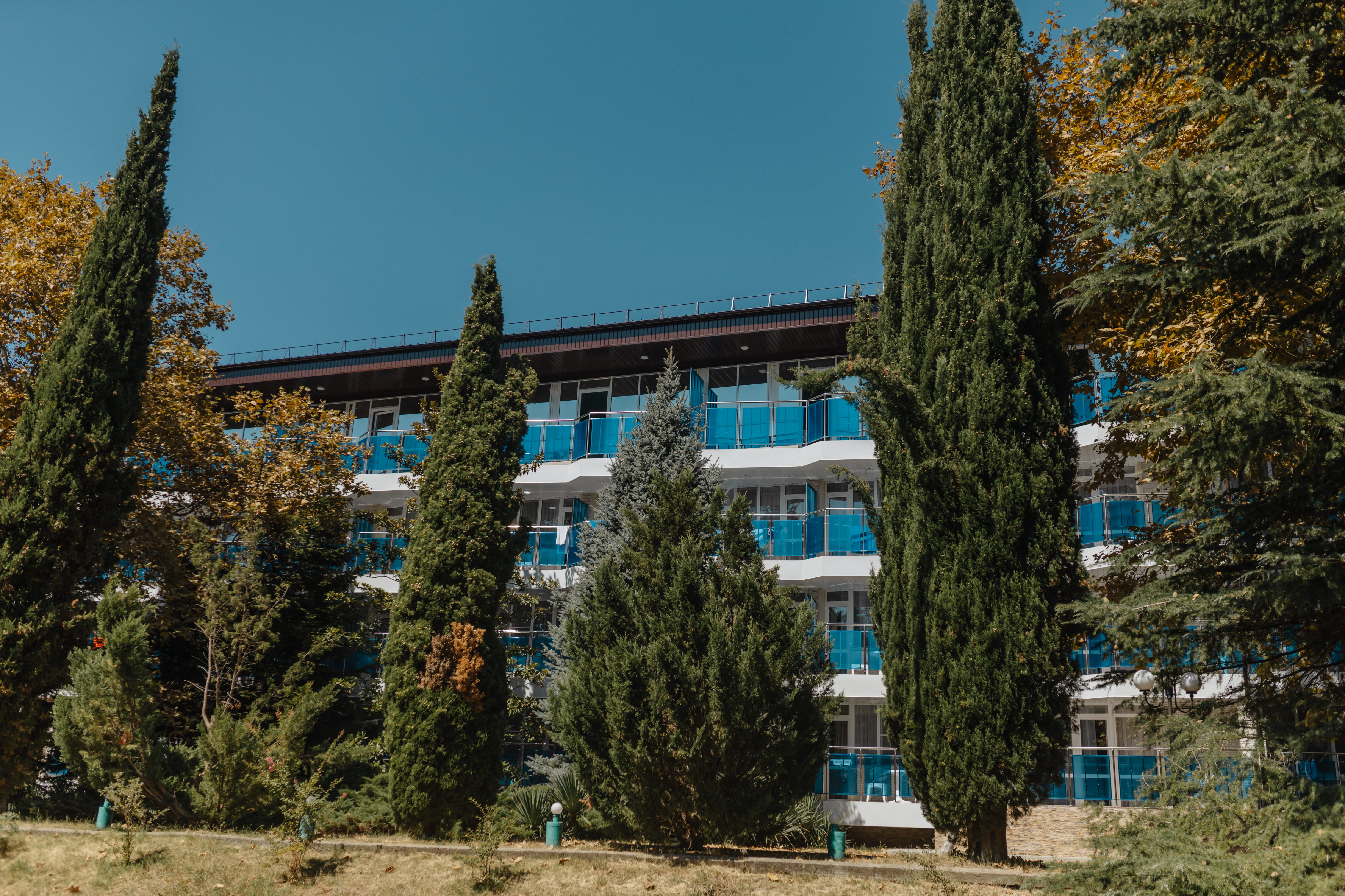 Орбита AMAKS Курорт (Ольгинка)