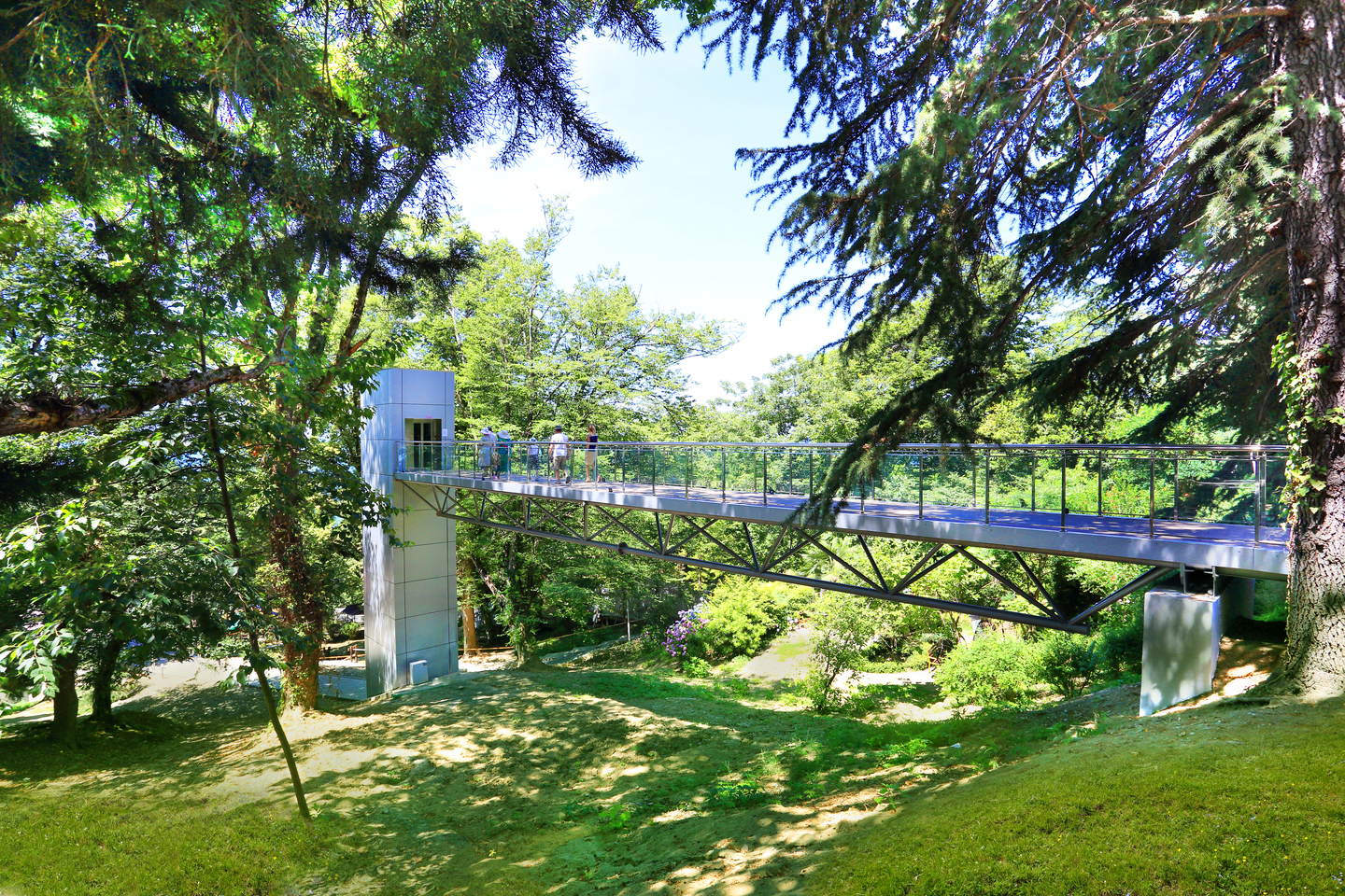 Мост и лифт