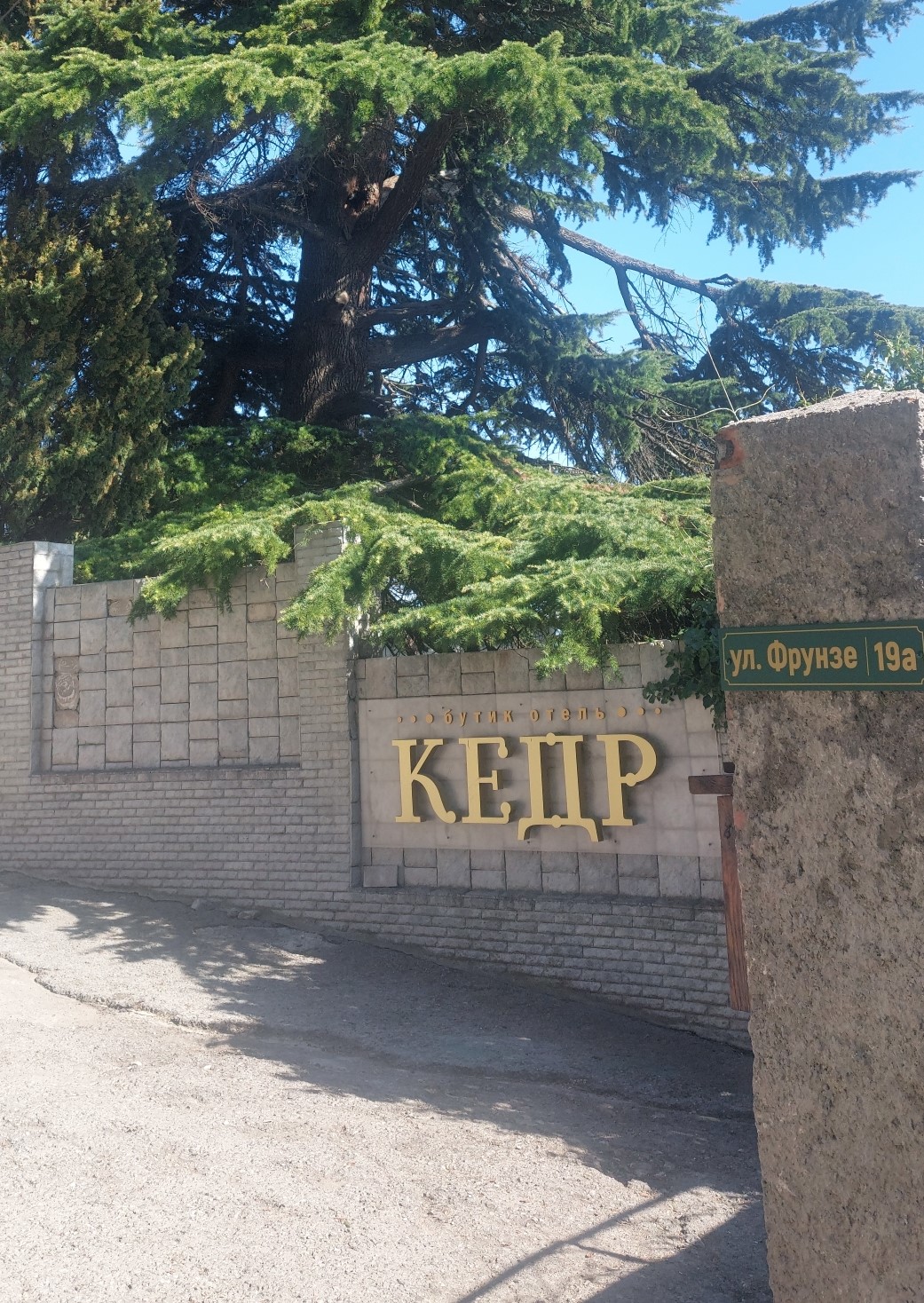 Кедр (Алупка) — Алупка, город