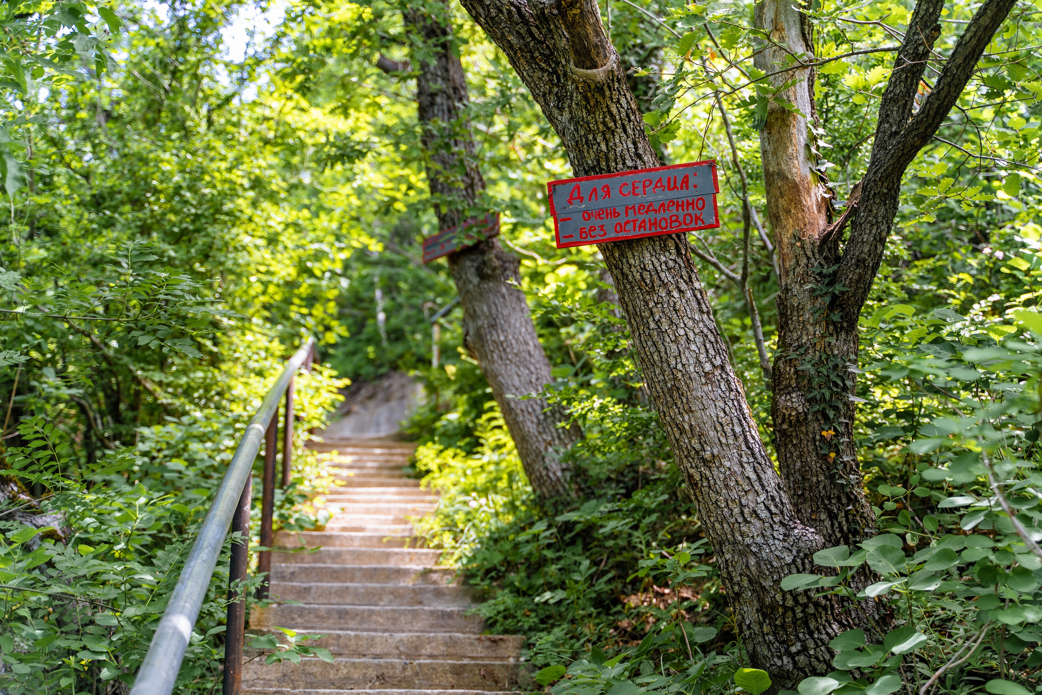 Green Wood отель