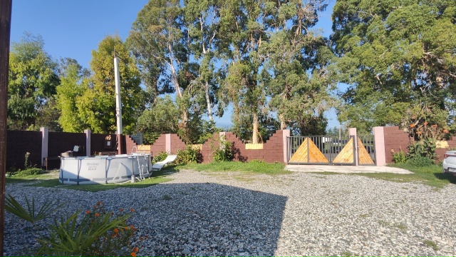 Асса (Пицунда)