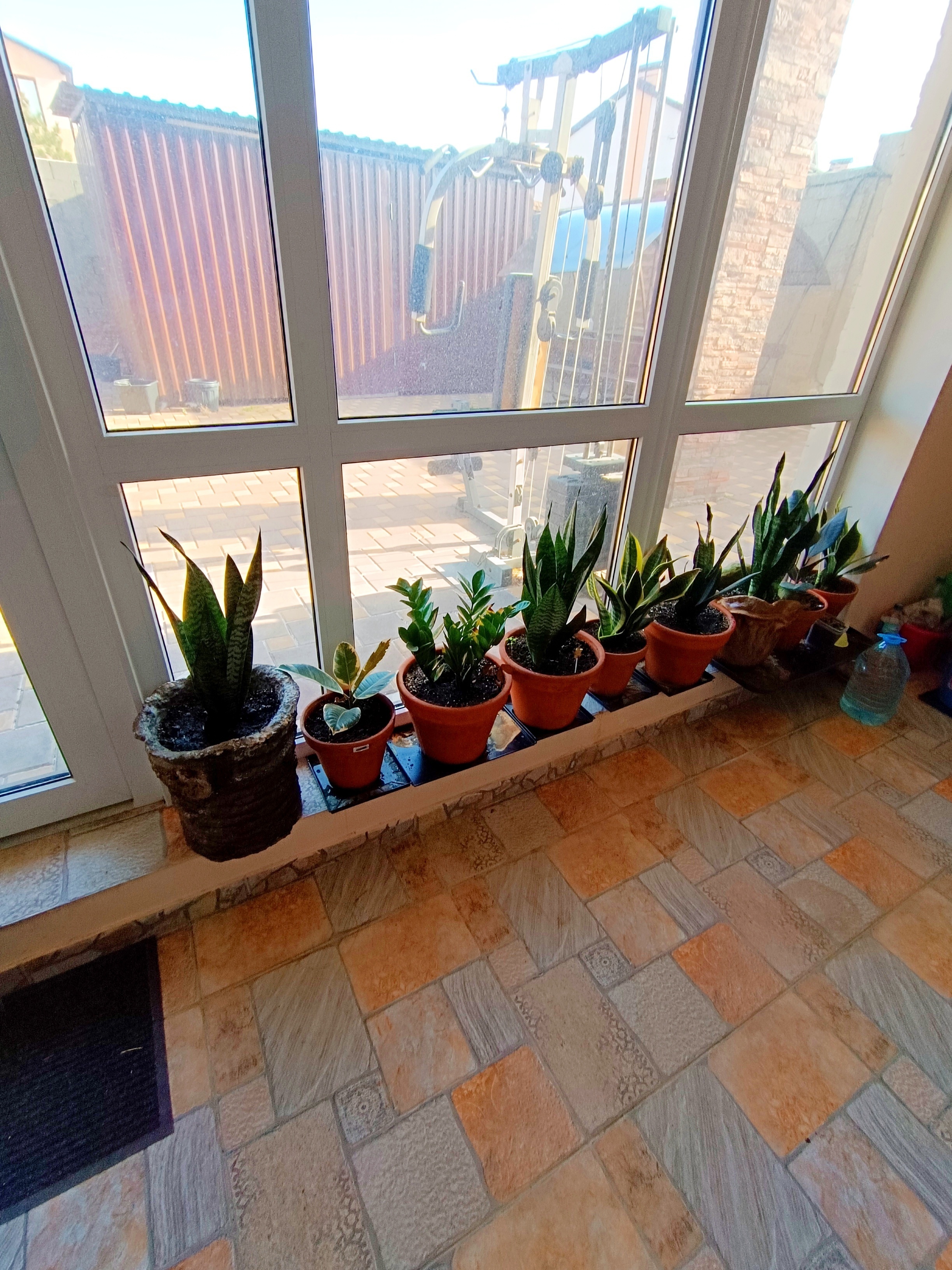 Фото 45