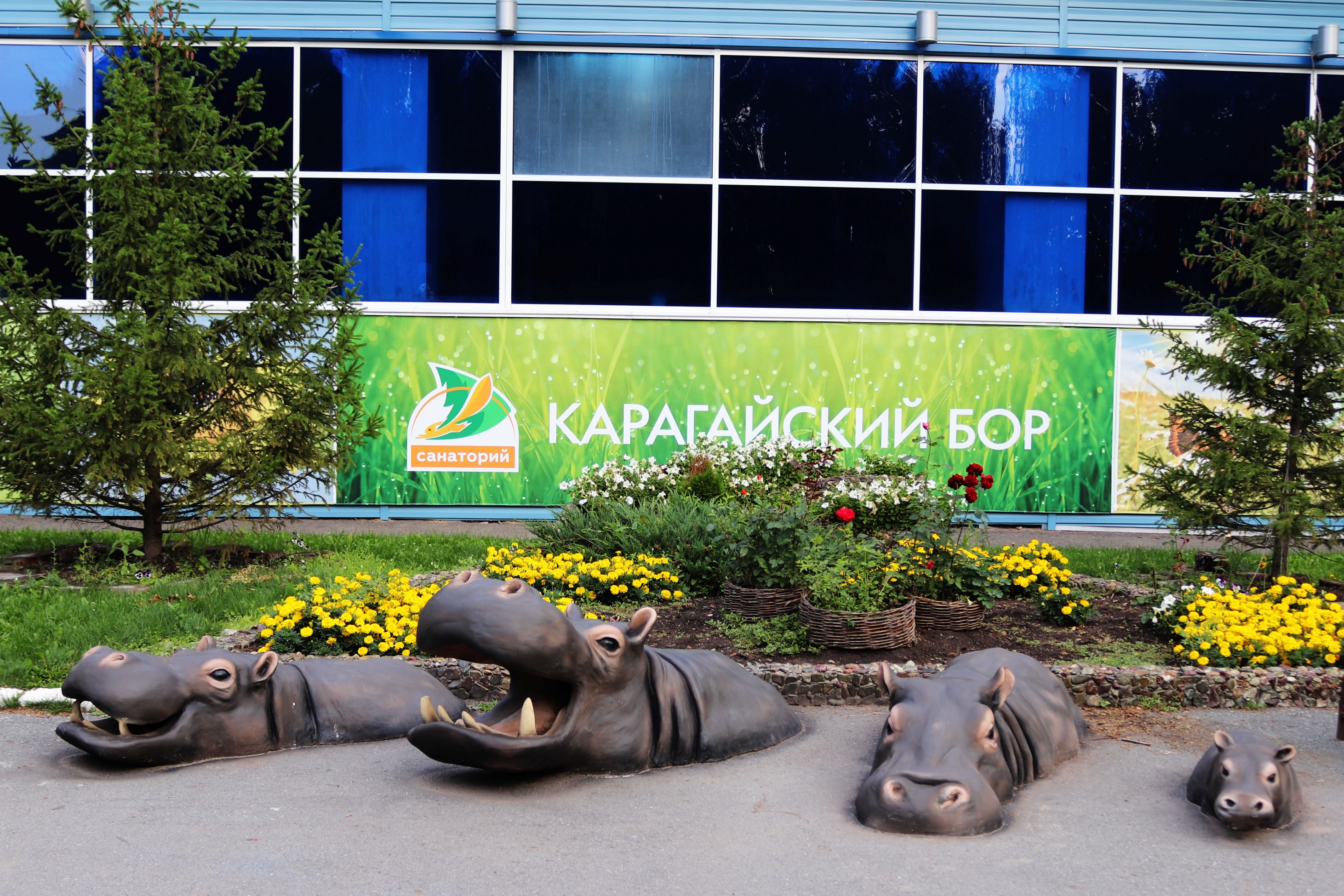 Карагайский бор