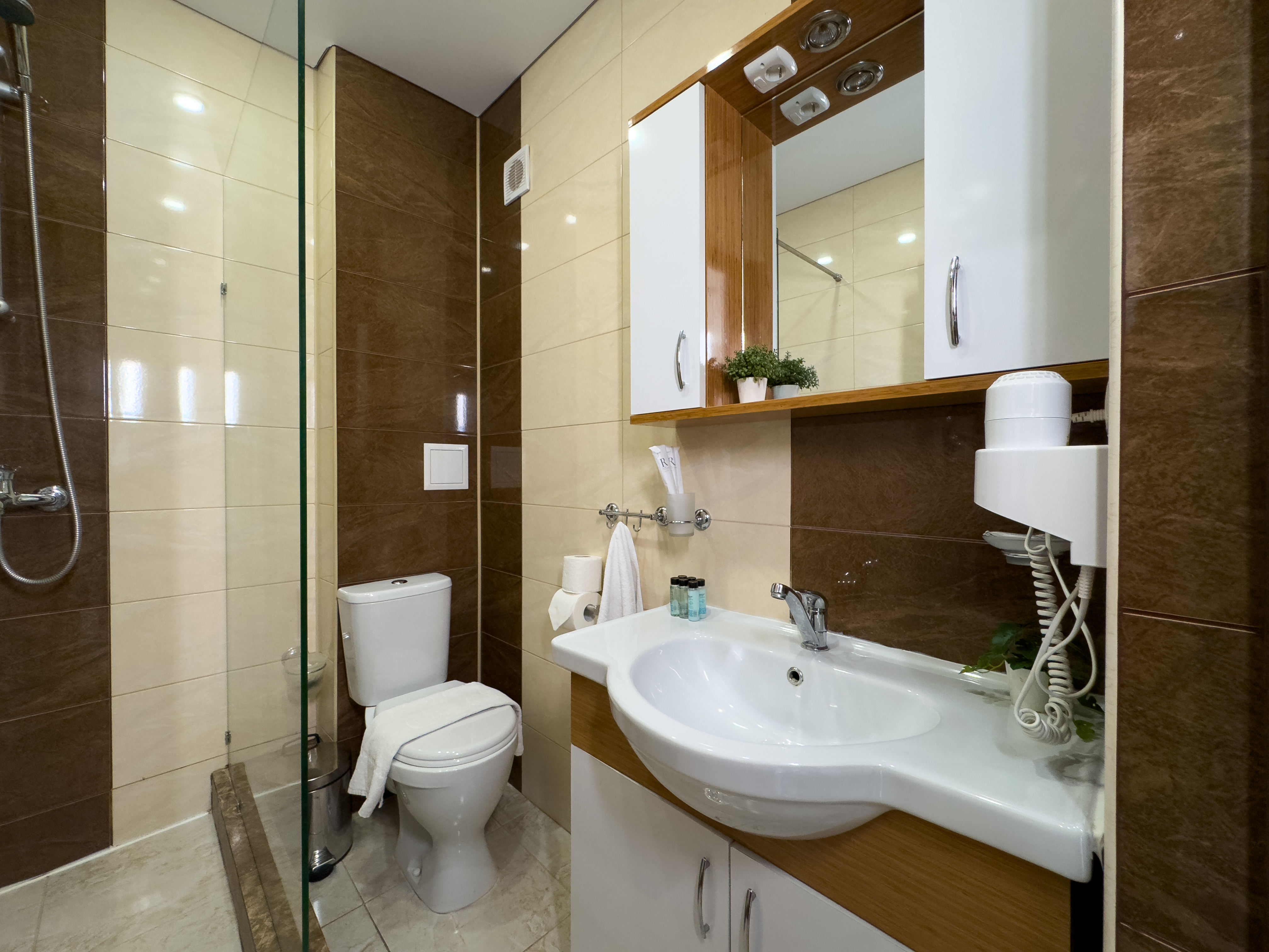 Супериор Плюс 3-местный 1-комнатный (с балконом)