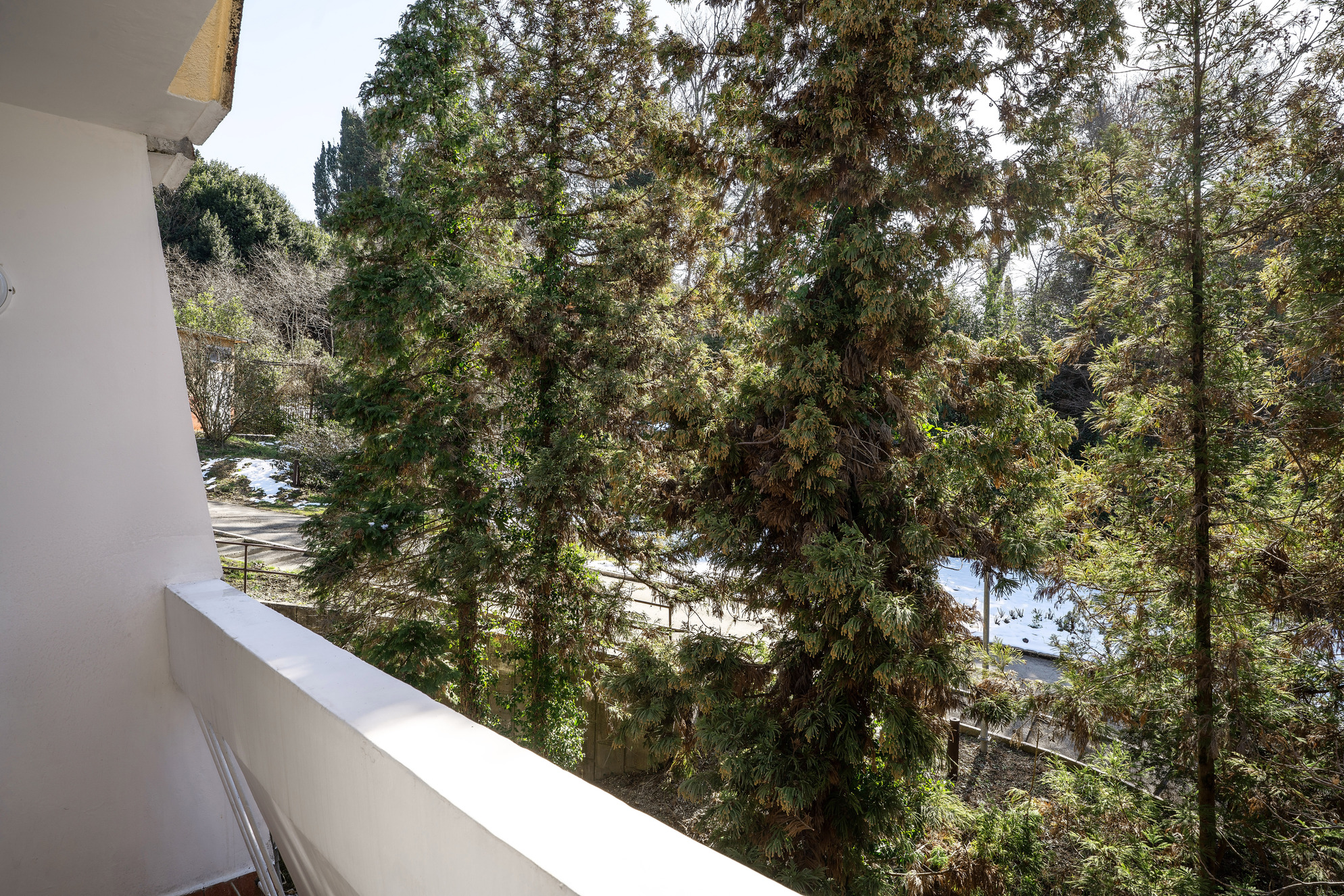 Стандартный 1-местный 1-комнатный