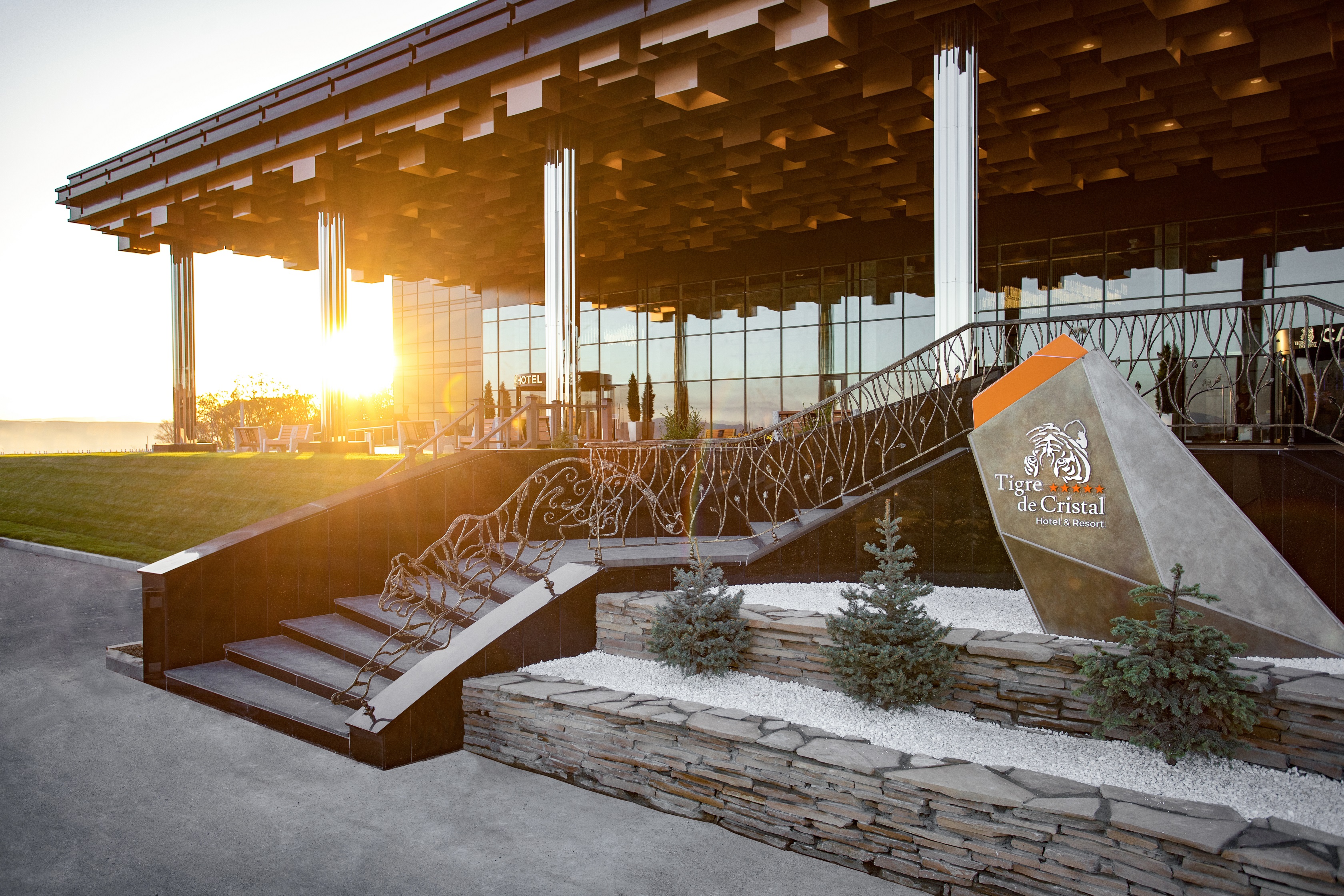 Внешний вид