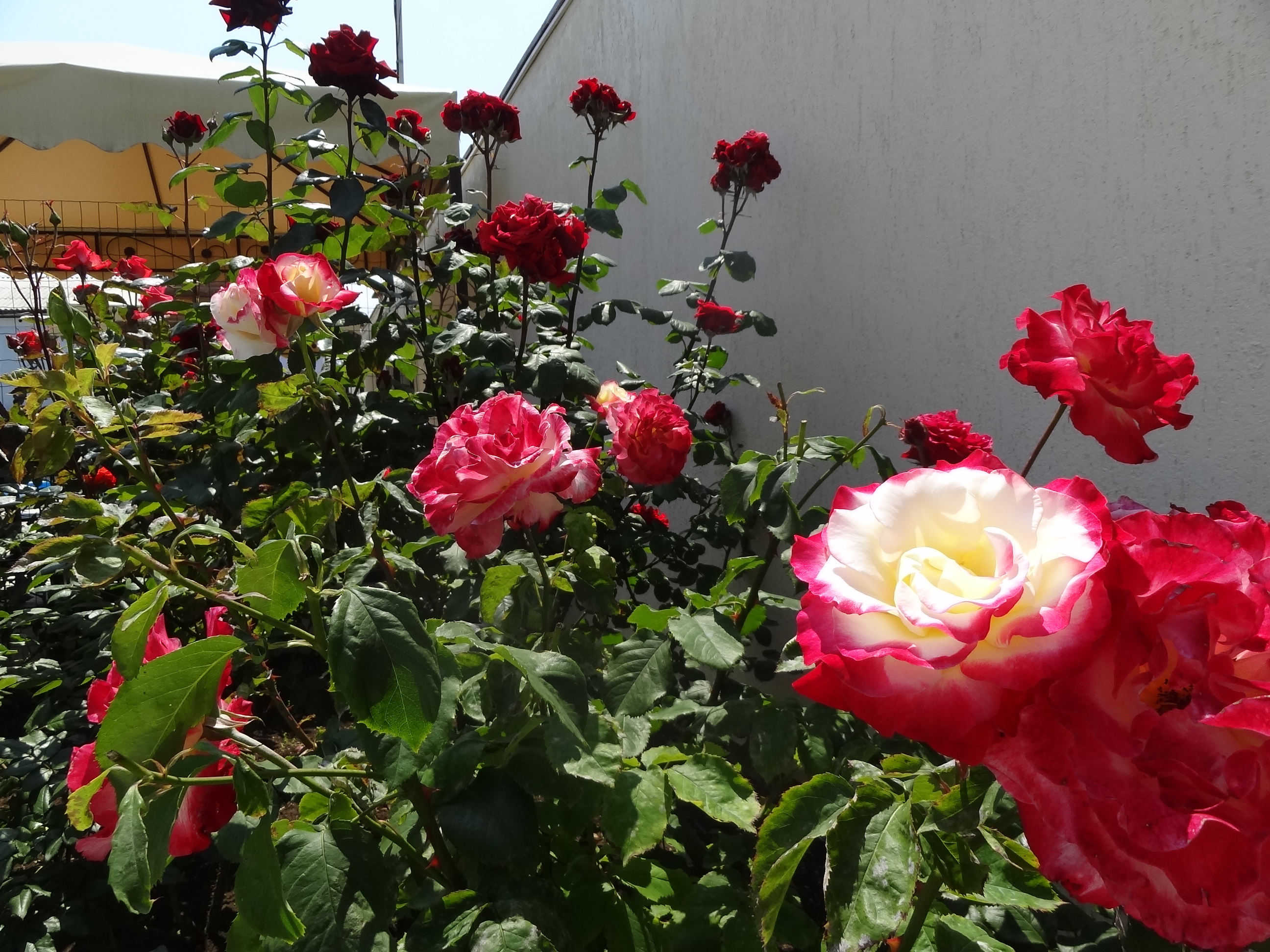 Фото 6
