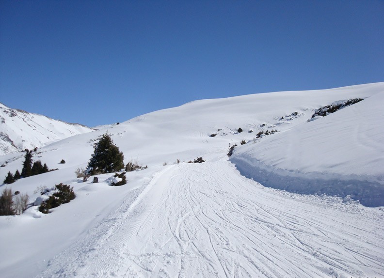 Территория