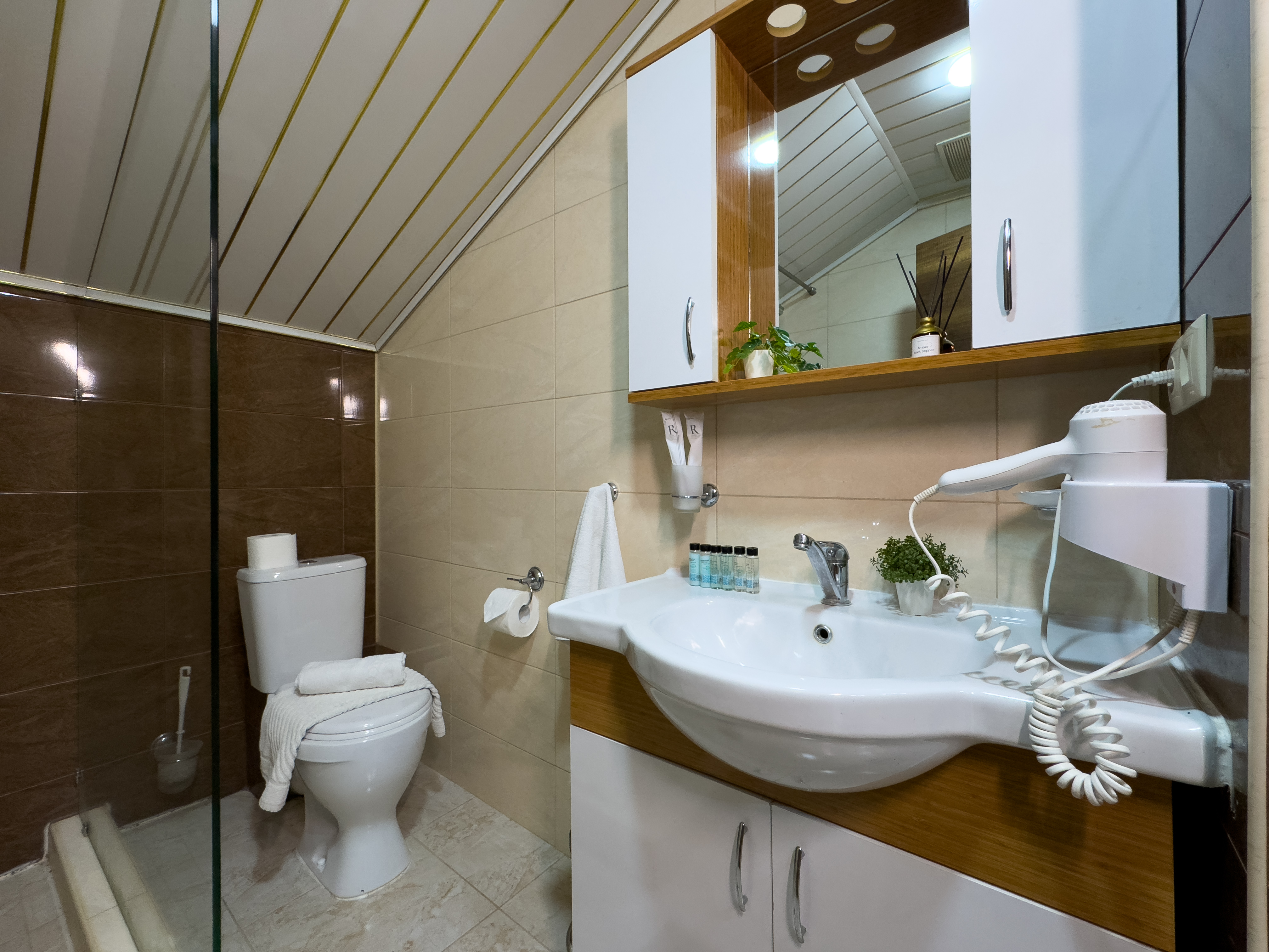 Супериор Плюс 3-местный 1-комнатный (с балконом)