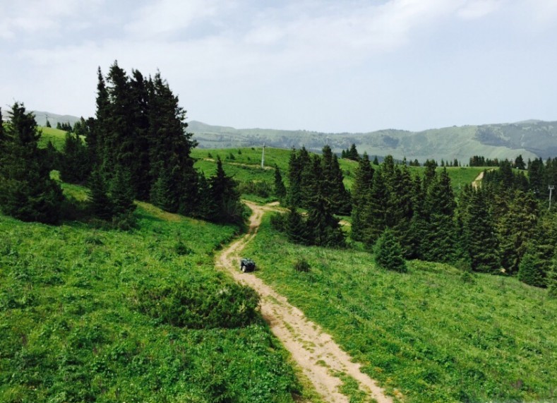 Территория