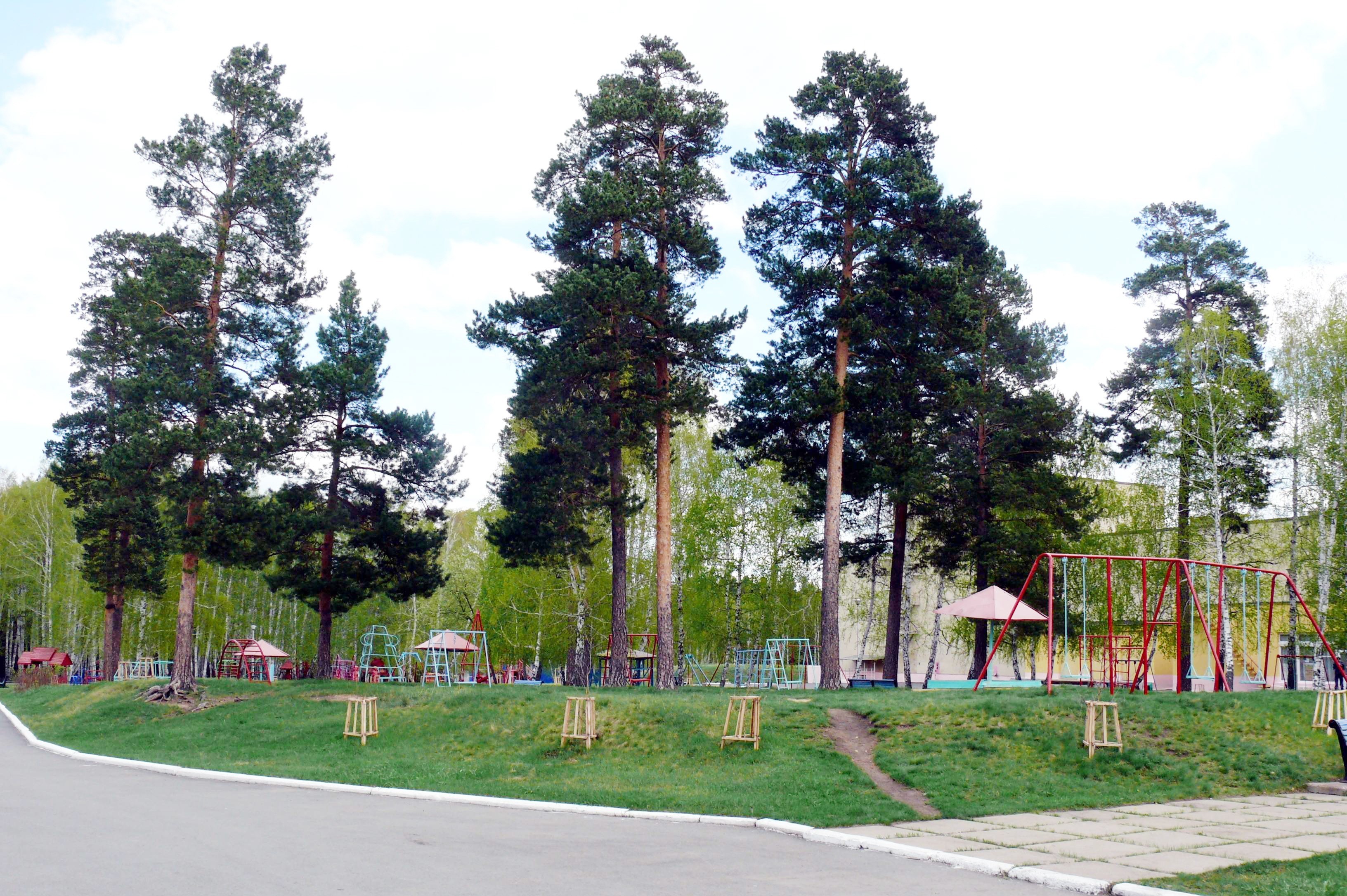 Карагайский бор