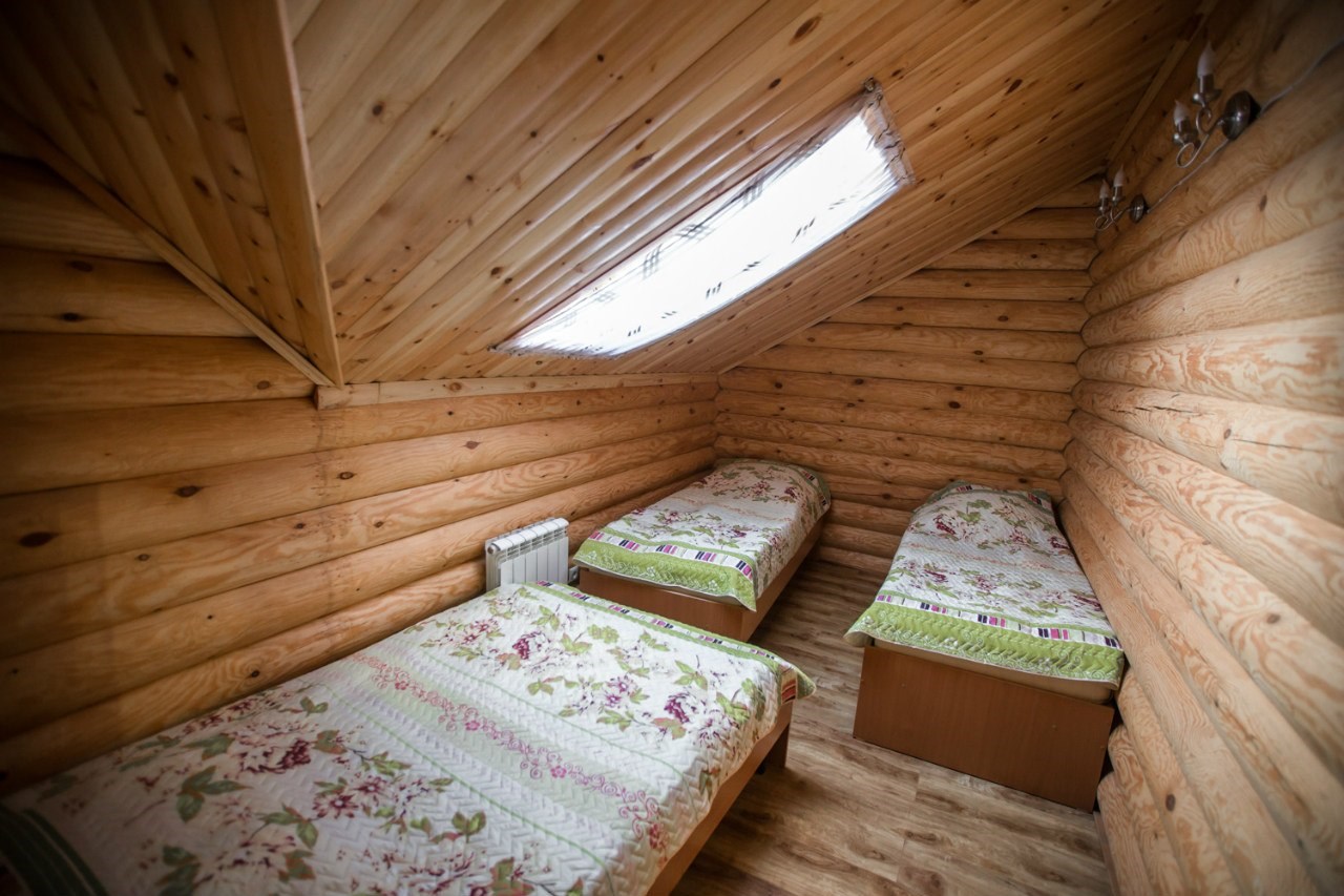 Шишка (Новосибирск)