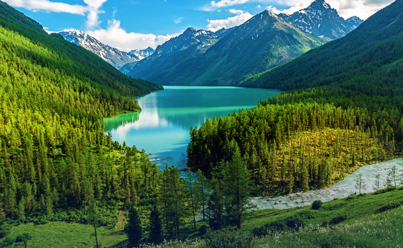 Алтайский край