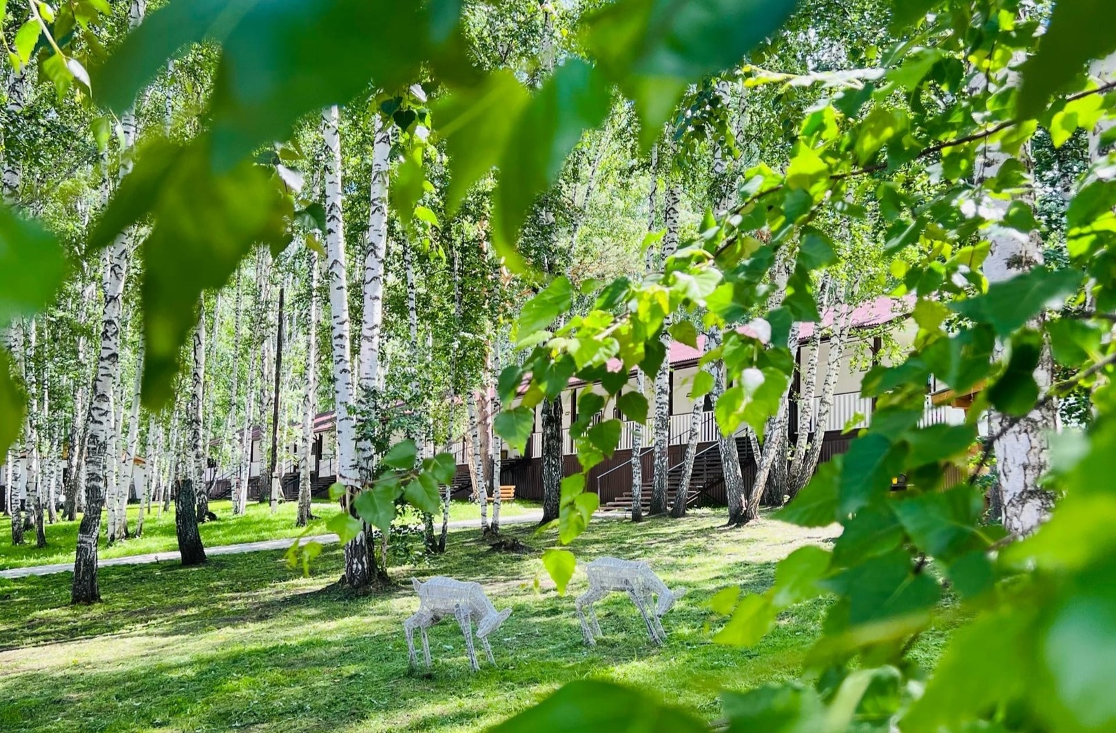 Территория