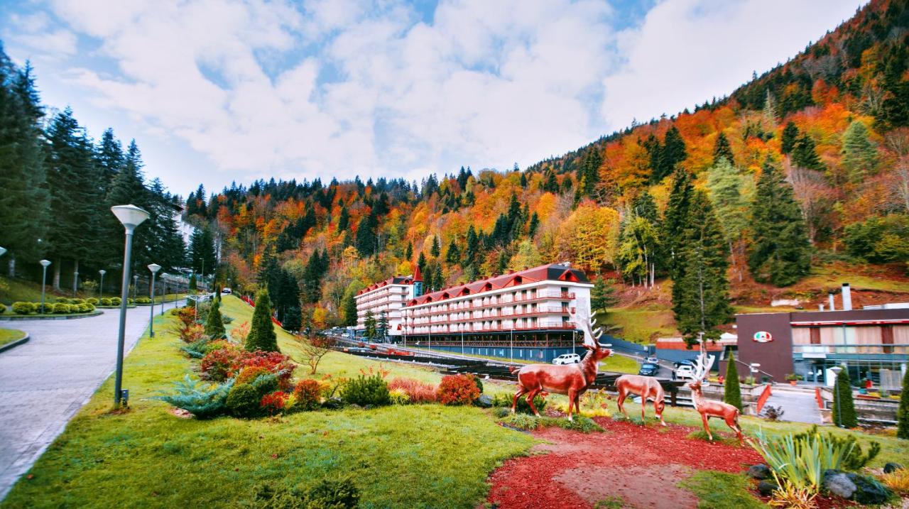 Sairme Hotels & Resorts — Саирме, город