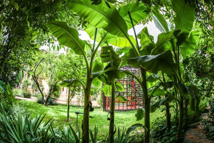 Территория