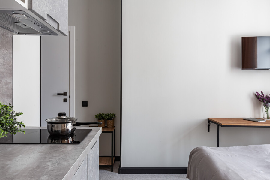 Студио 2-местный (DBLTWIN с мини-кухней)