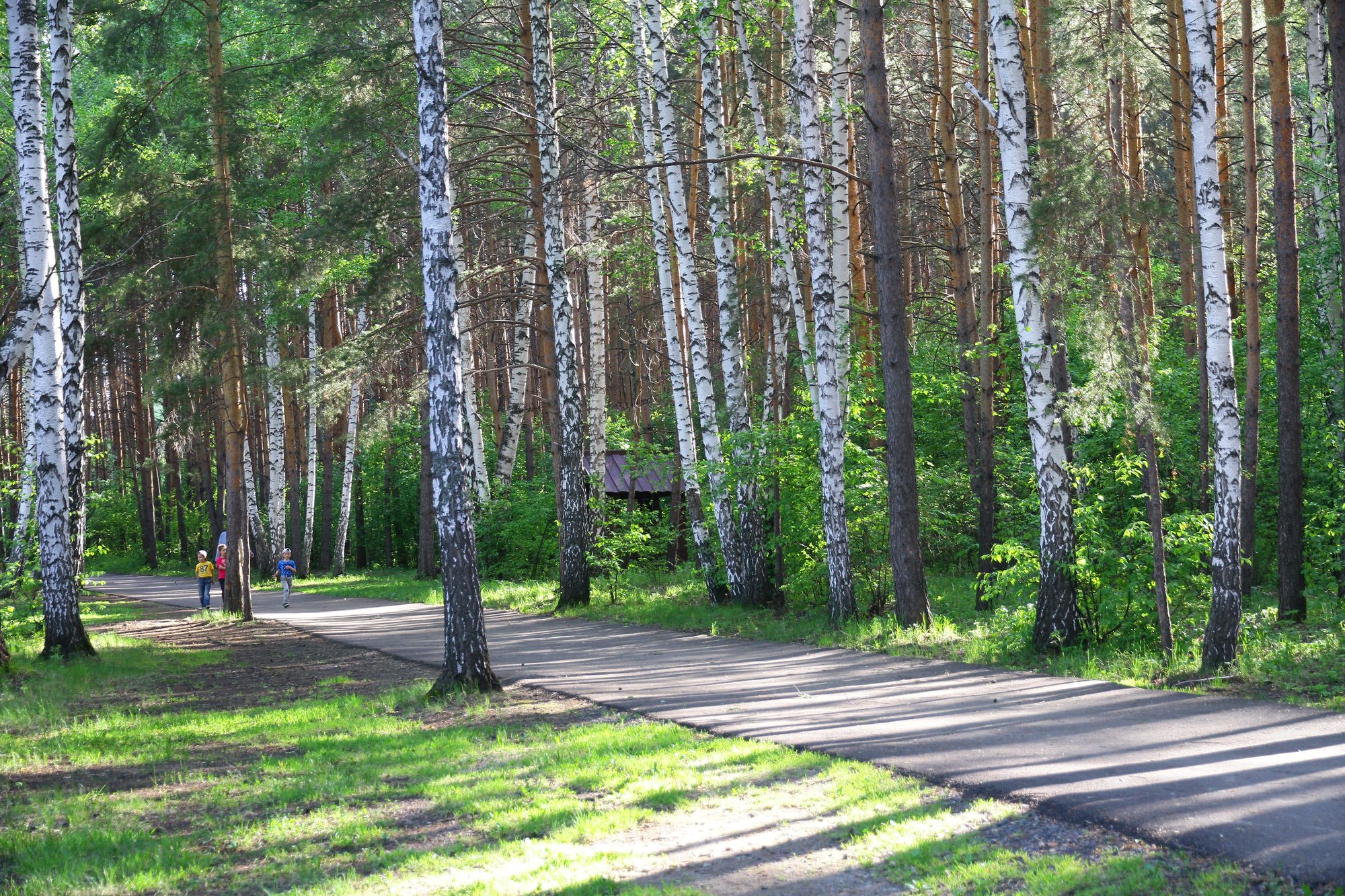 Карагайский бор