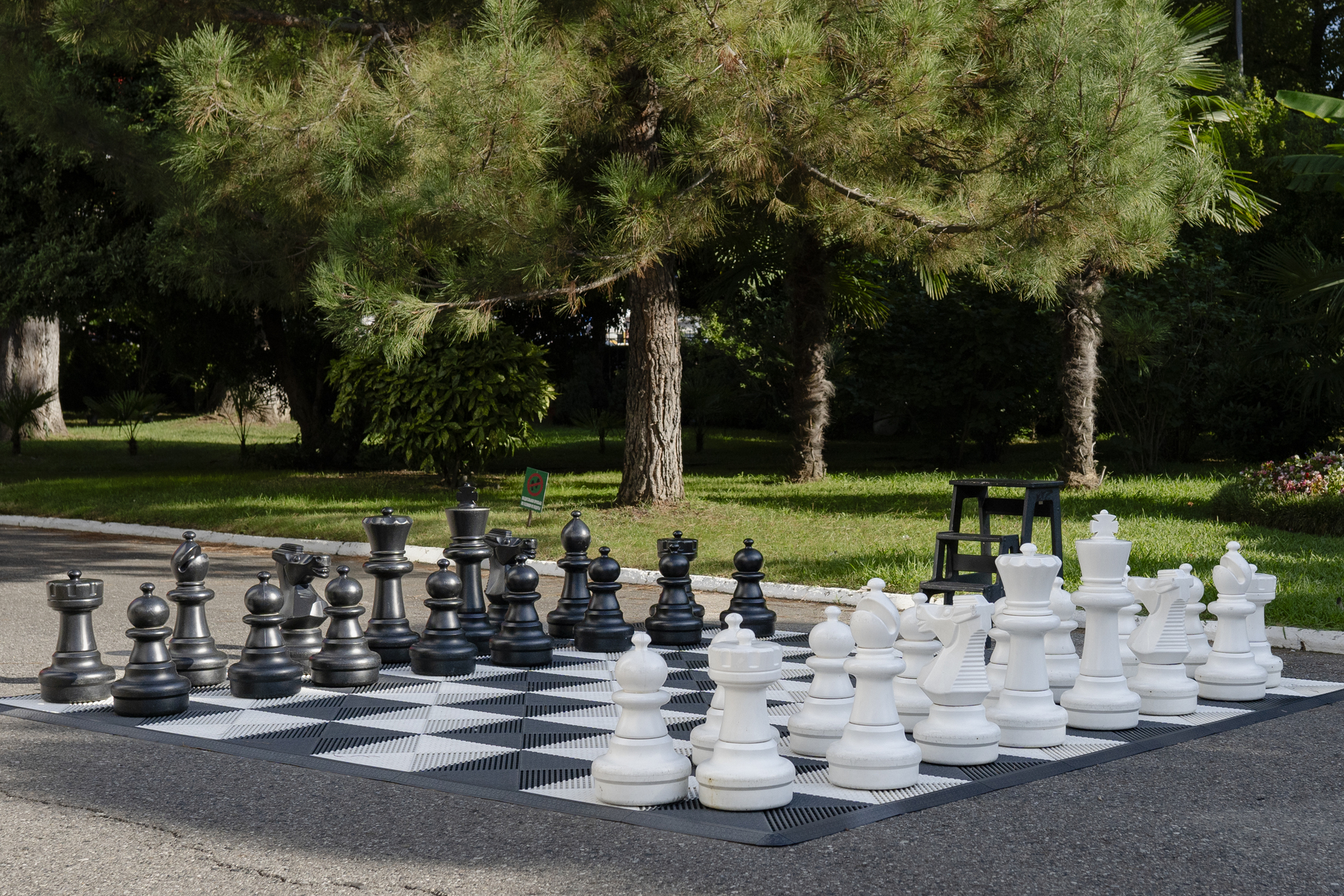 Территория. Шахматы