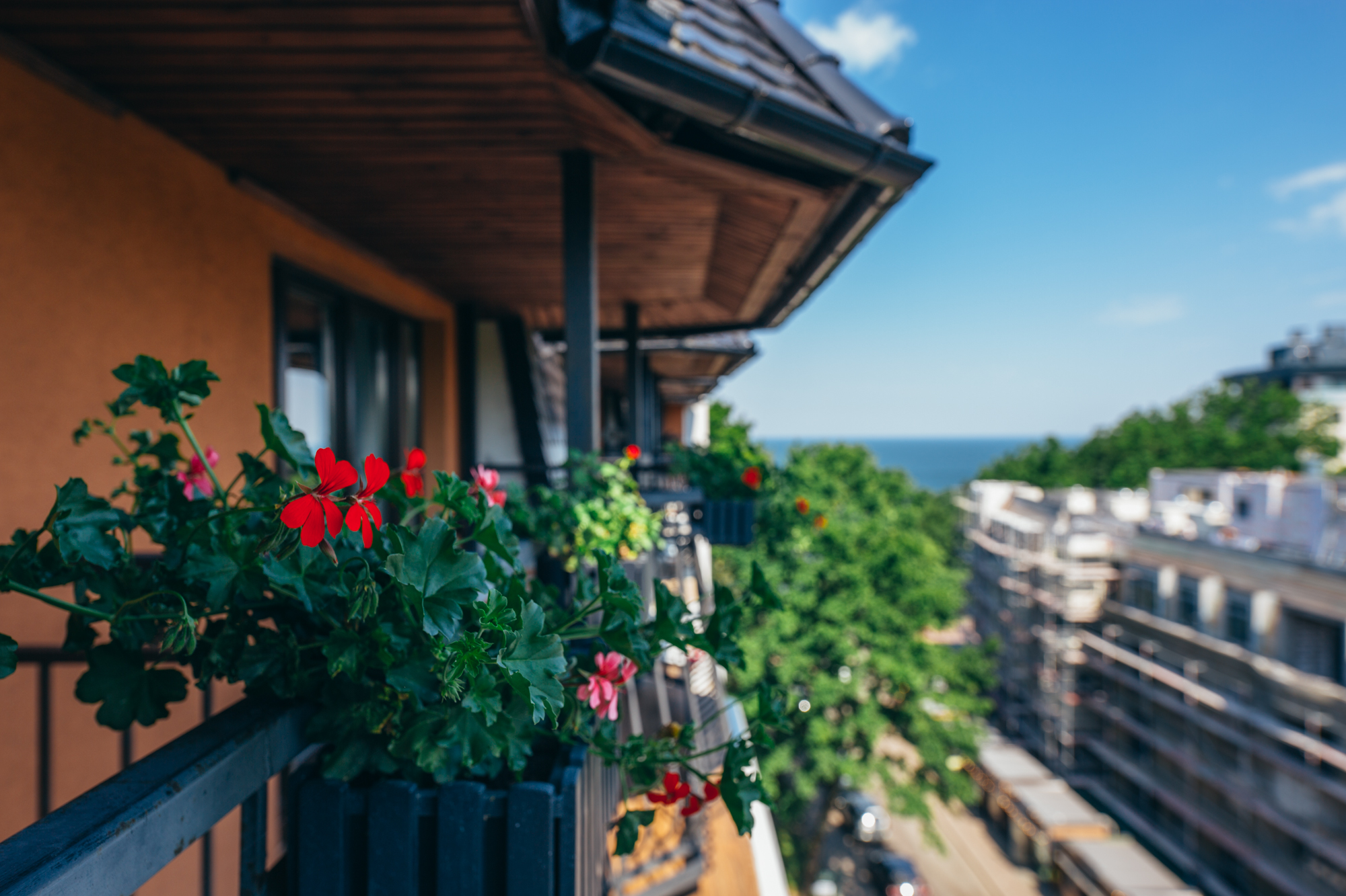 Апартаменты 4-местный (У Моря)