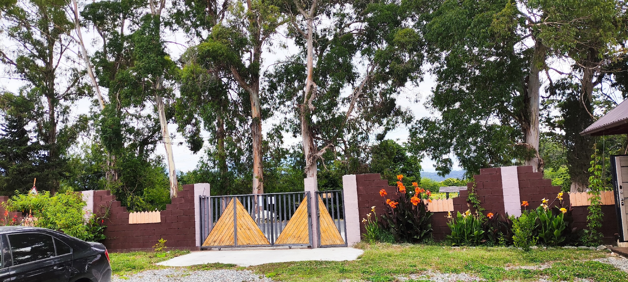 Асса (Пицунда)