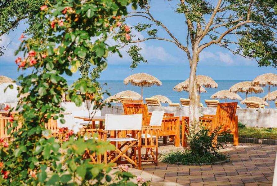 Dreamland Oasis Chakvi