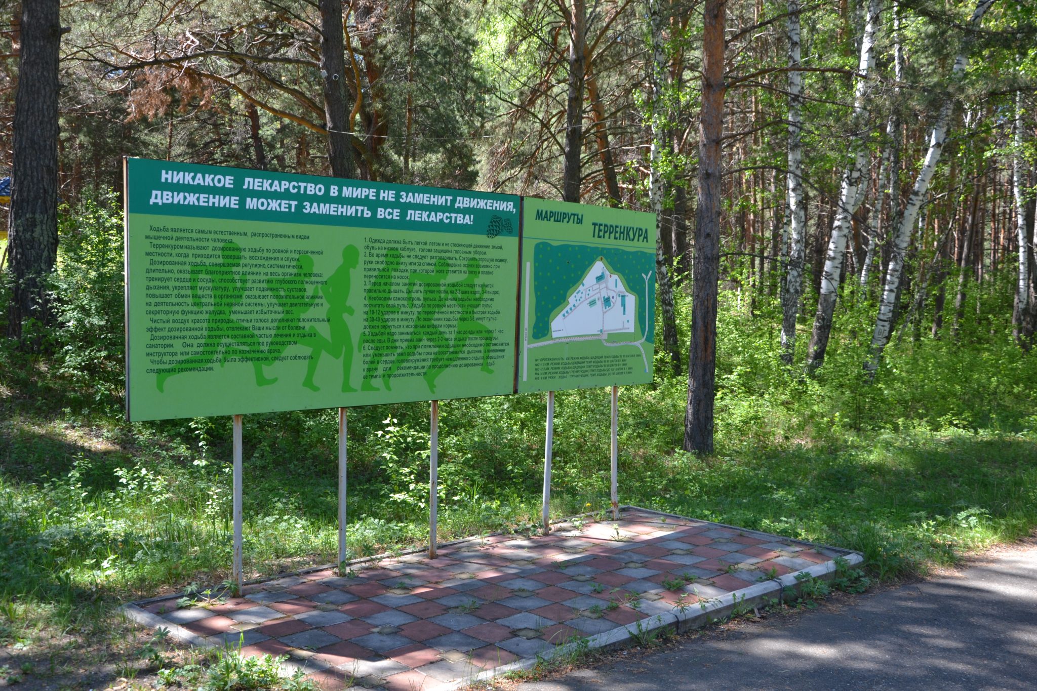 Сосновый бор (Красноярск)
