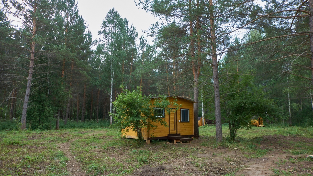 Бердь Таёжная