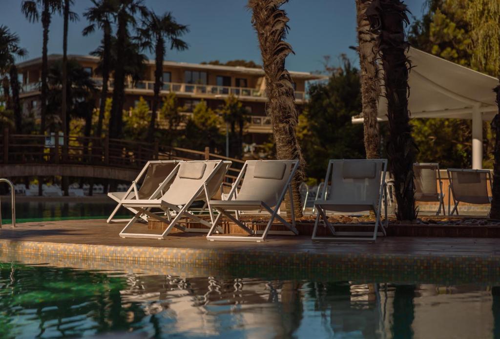 Dreamland Oasis Chakvi