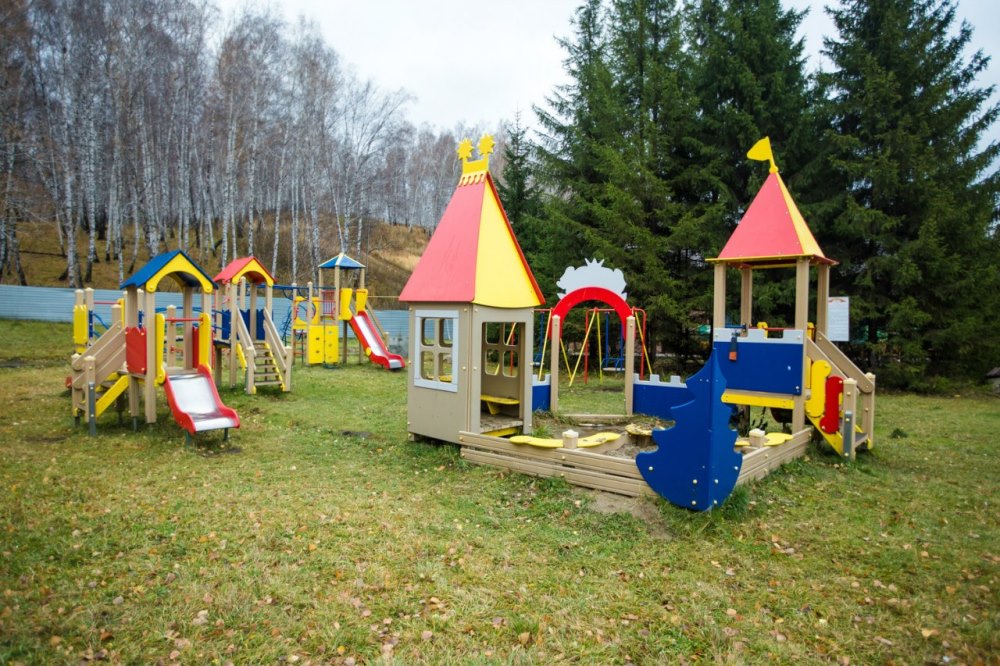 Шишка (Новосибирск)