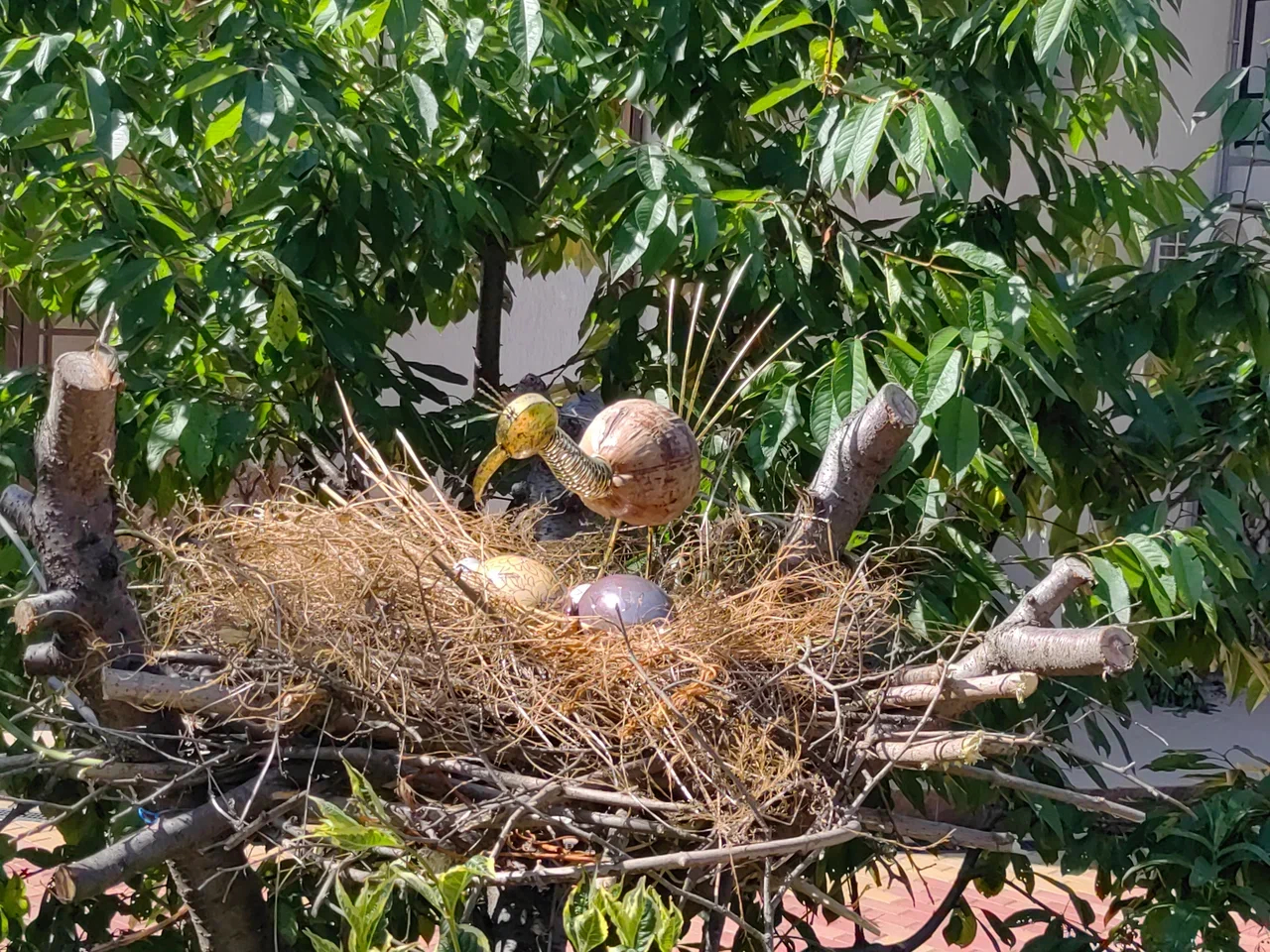 Территория