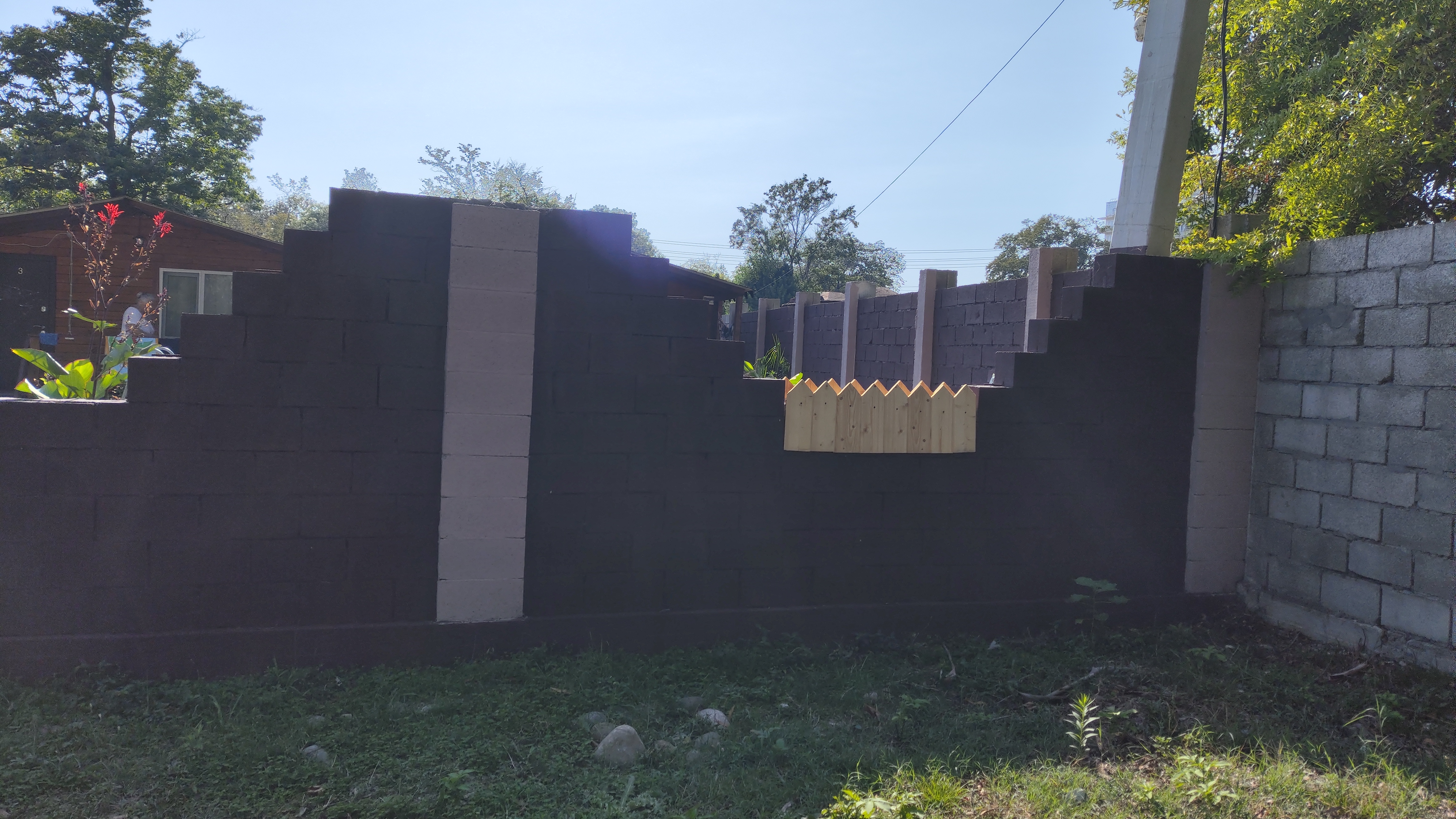 Асса (Пицунда)