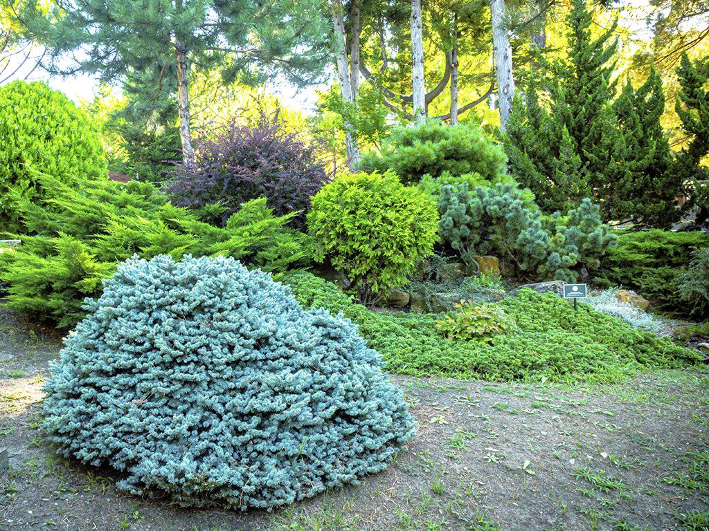 Небуг парк-отель