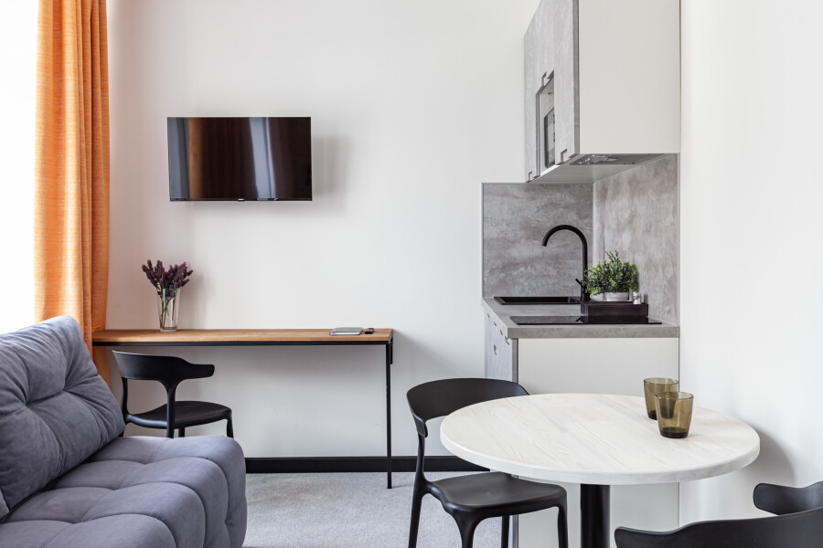 Студио 2-местный (TWIN + диван с мини-кухней)