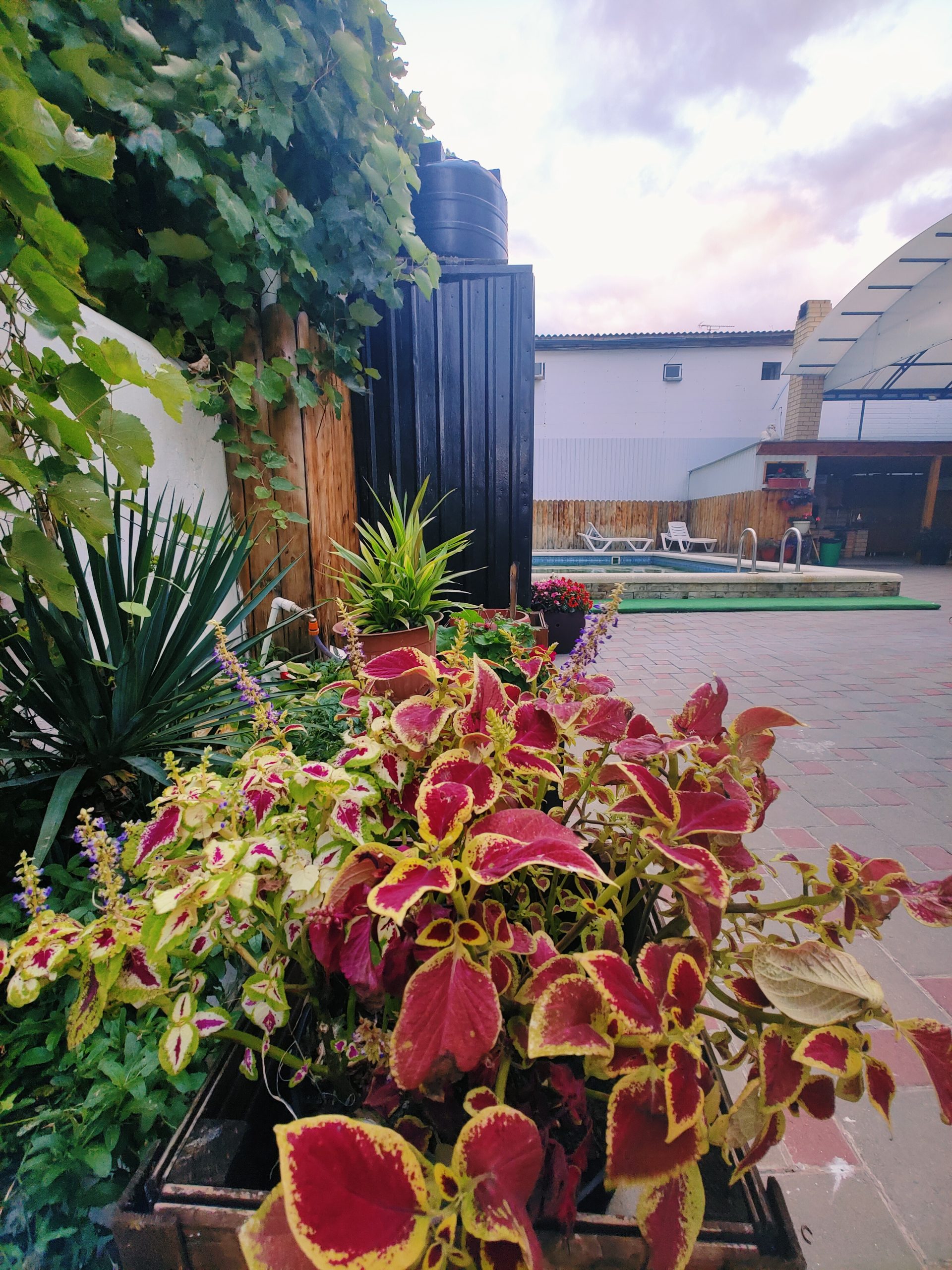 Фото 4