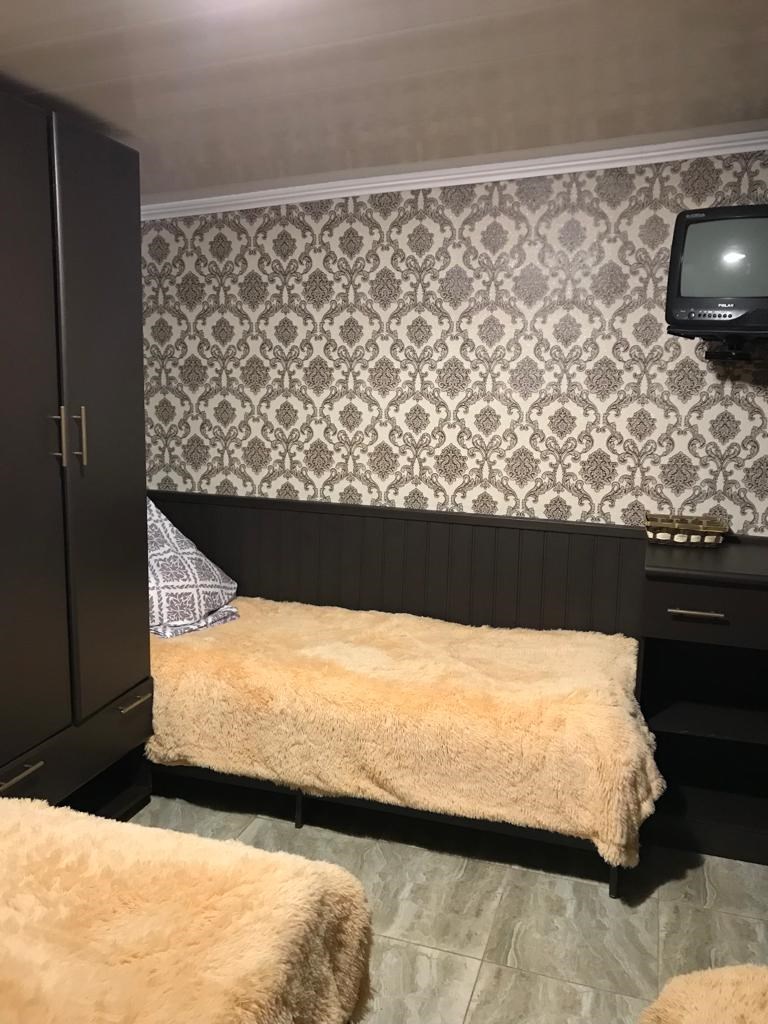 Дельфин (Джубга)