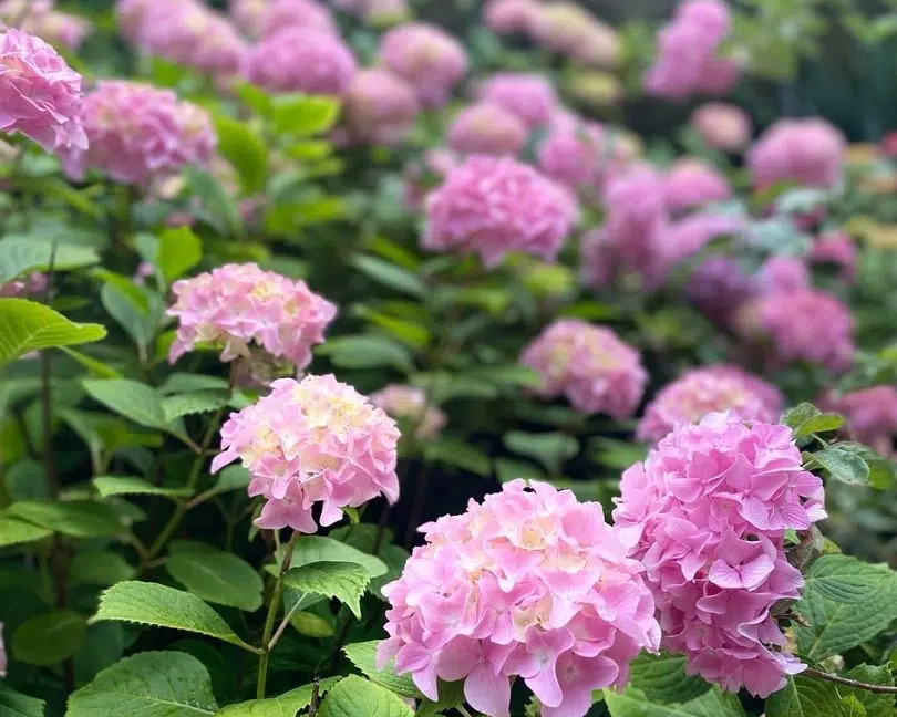 Фото 6