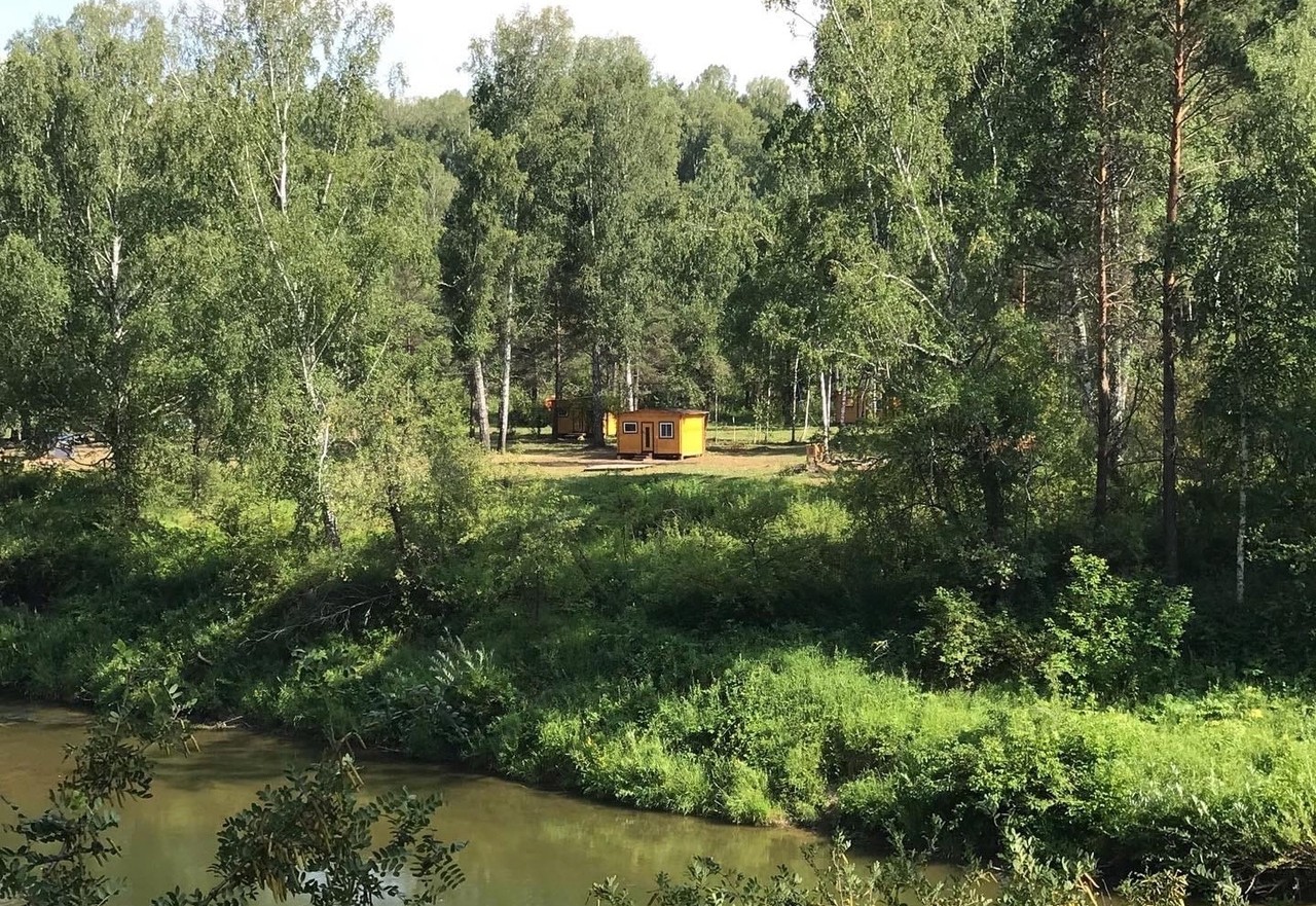 Бердь Таёжная