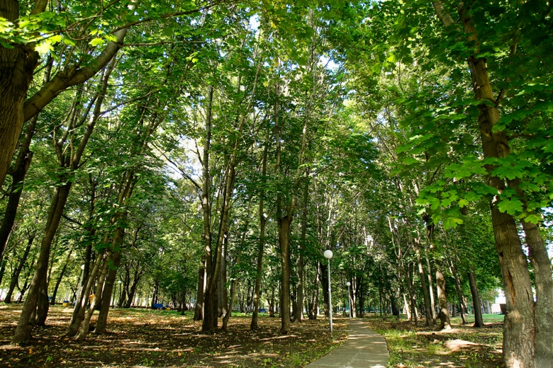 Фото 11