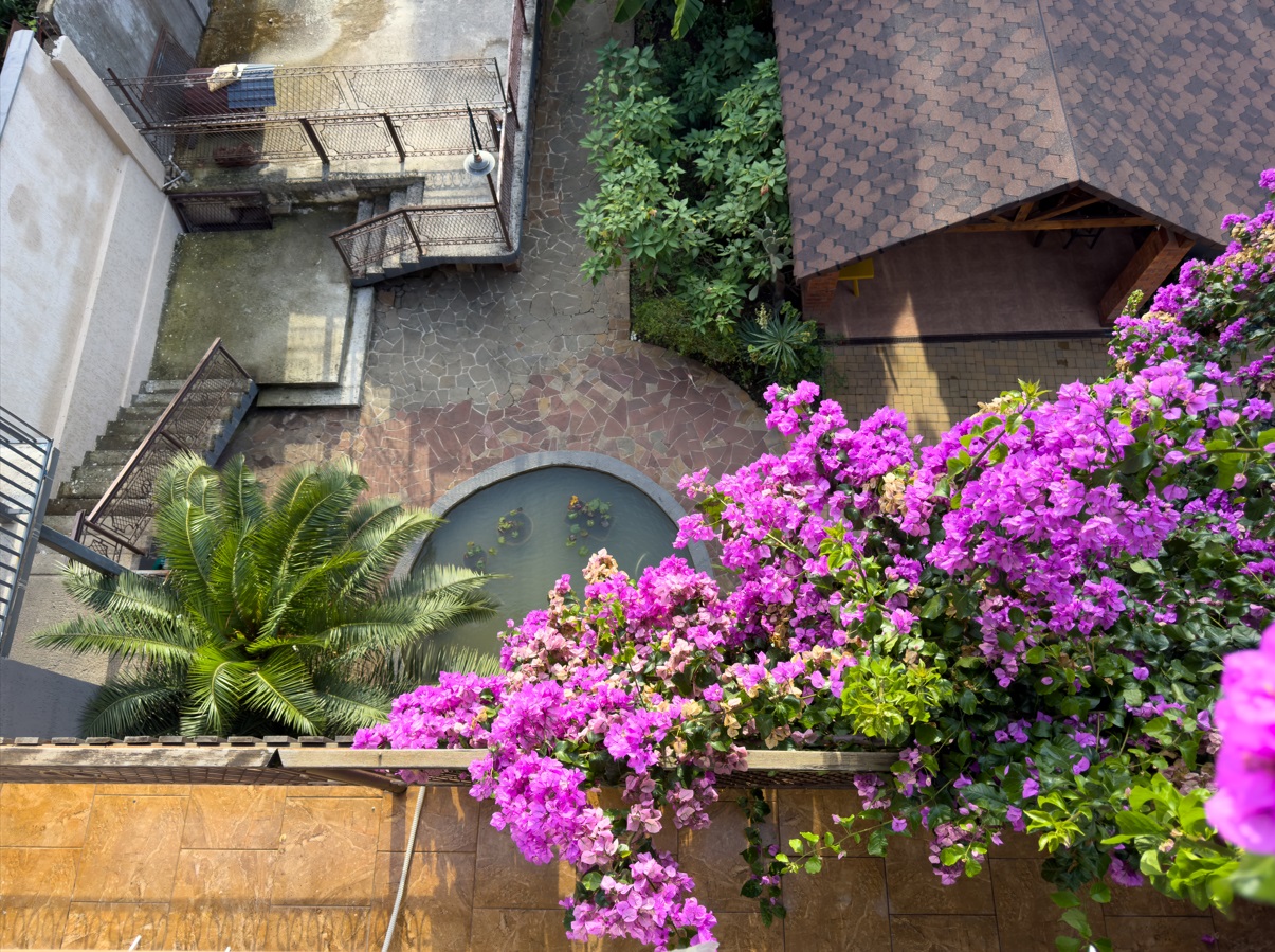 Территория