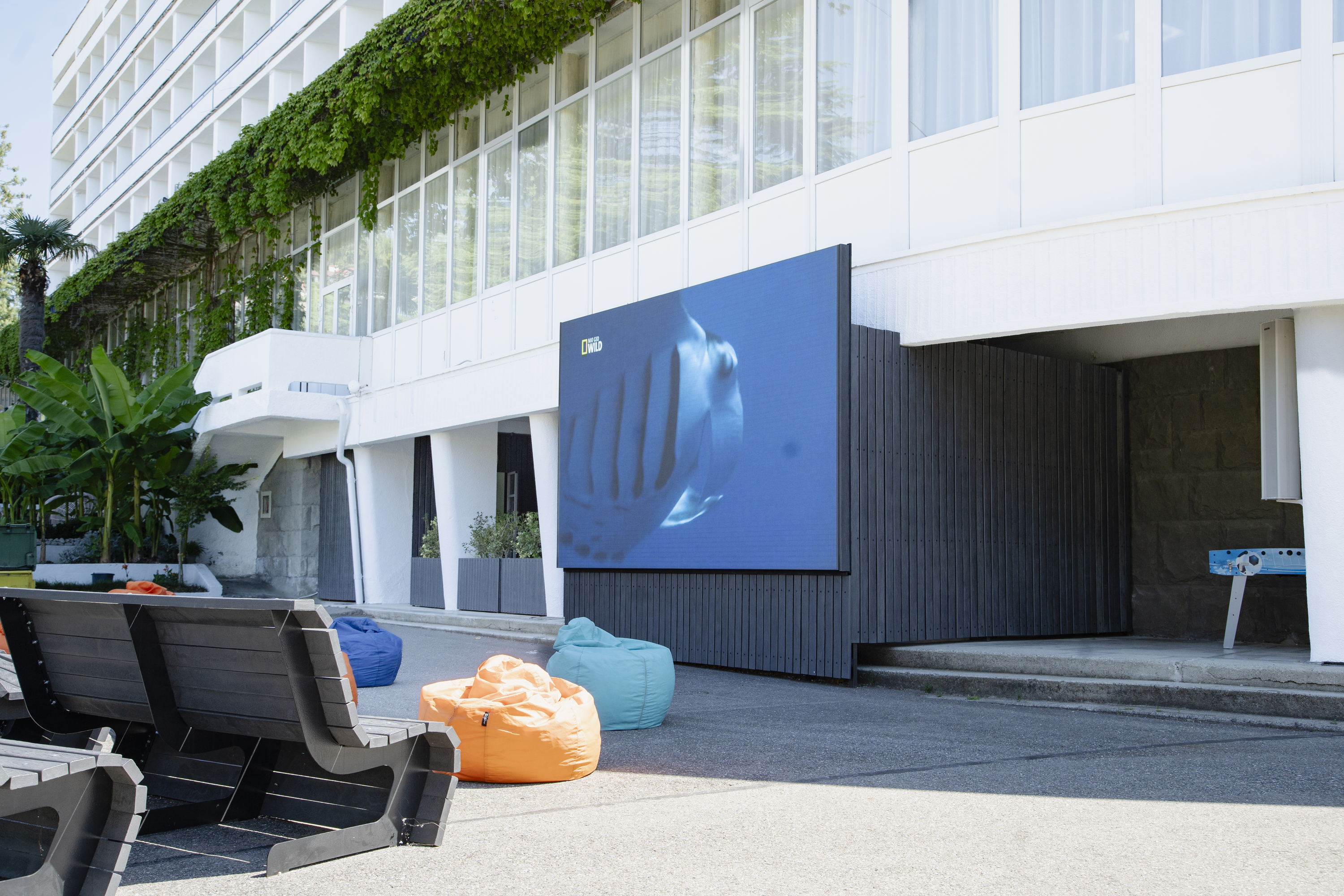 Территория. Уличный кинотеатр