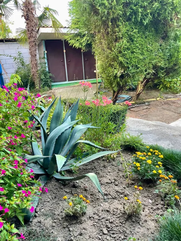 Фото 5