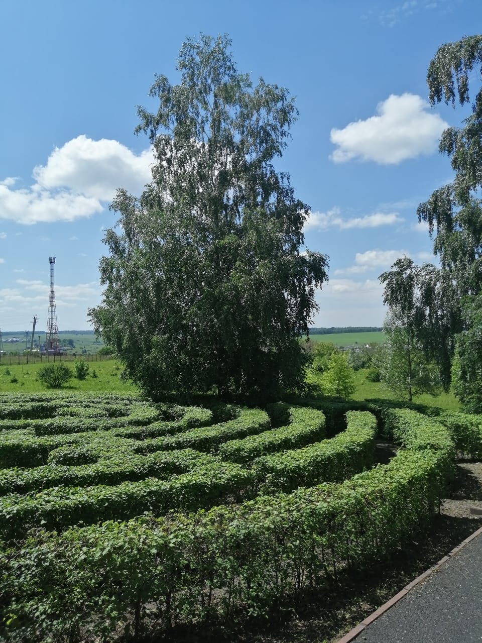 Борисовский