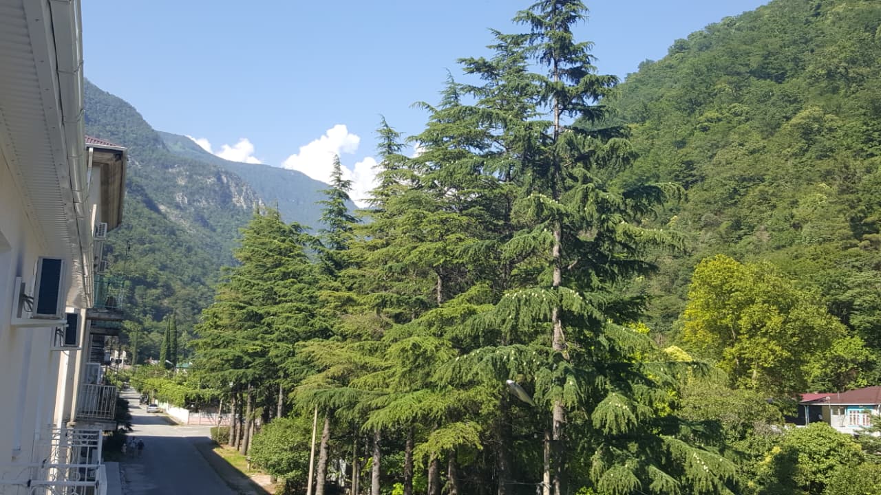 Горный ручей (Гагра)