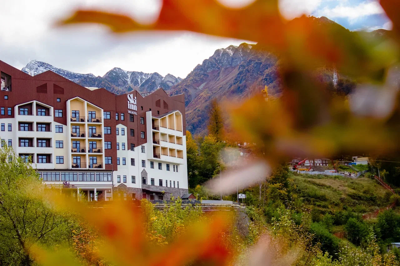 Внешний вид