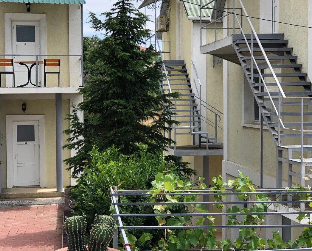 Внешний вид