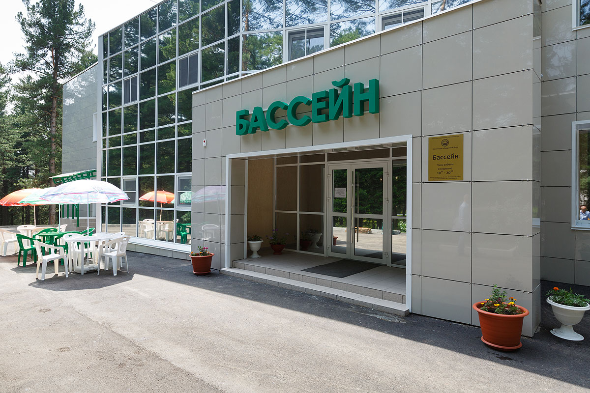 Кедровый бор
